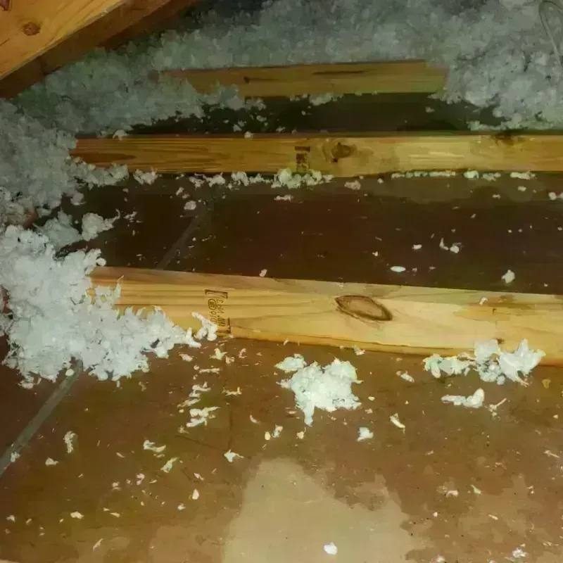 Attic Water Damage in Clarinda, IA